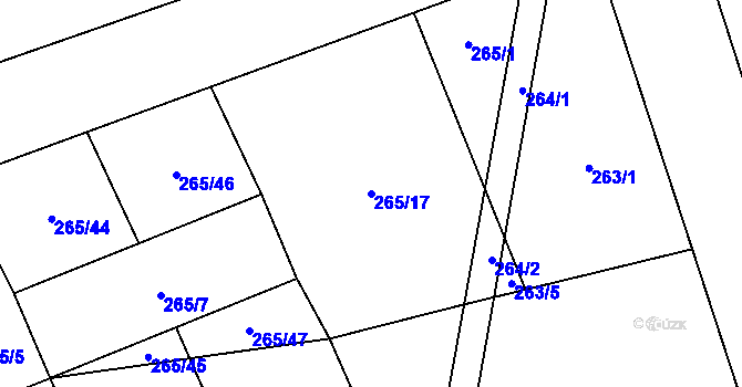 Parcela st. 265/17 v KÚ Rapšach, Katastrální mapa