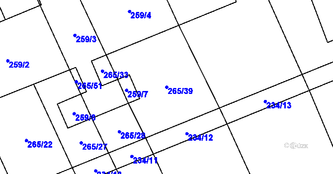 Parcela st. 265/39 v KÚ Rapšach, Katastrální mapa