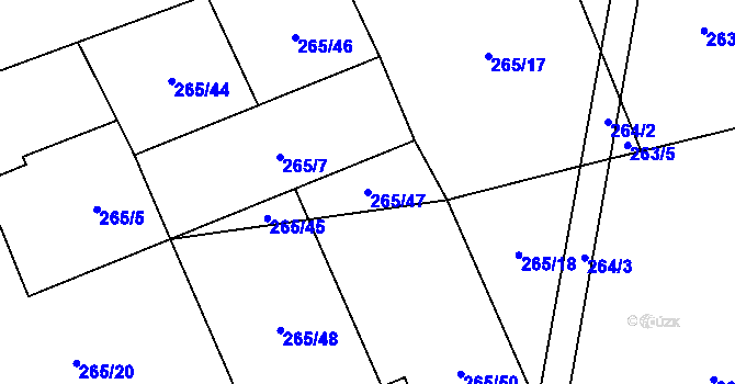Parcela st. 265/47 v KÚ Rapšach, Katastrální mapa