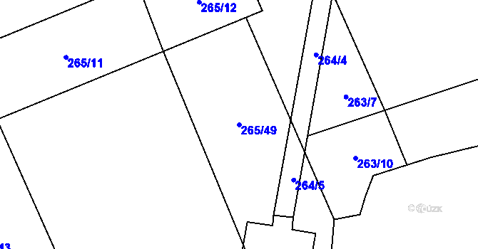 Parcela st. 265/49 v KÚ Rapšach, Katastrální mapa