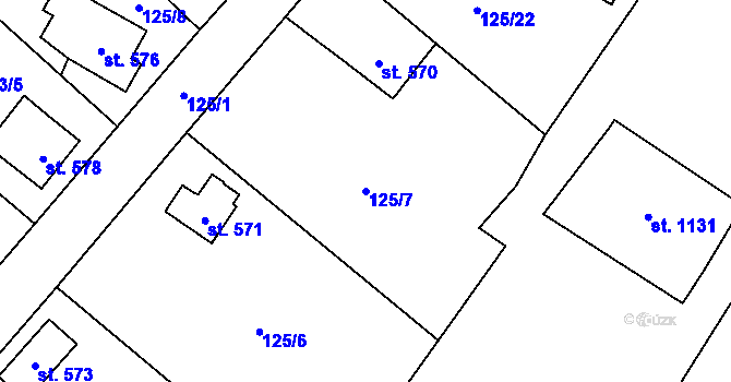 Parcela st. 125/7 v KÚ Raškovice, Katastrální mapa
