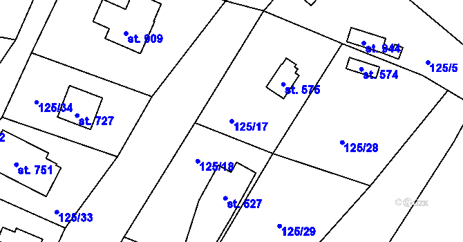 Parcela st. 125/17 v KÚ Raškovice, Katastrální mapa