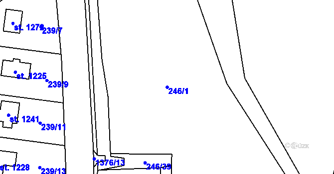 Parcela st. 246/1 v KÚ Raškovice, Katastrální mapa