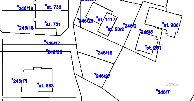 Parcela st. 246/15 v KÚ Raškovice, Katastrální mapa