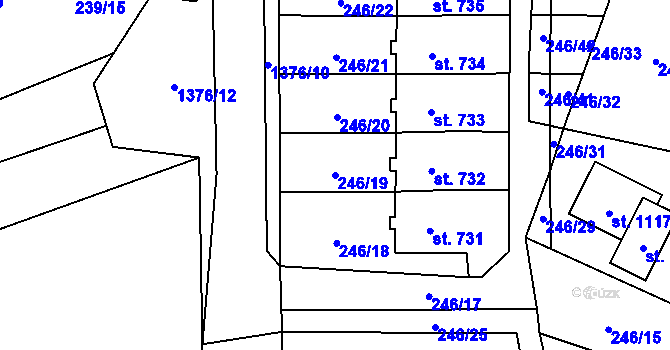 Parcela st. 246/19 v KÚ Raškovice, Katastrální mapa