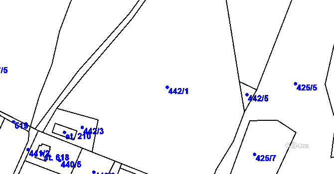 Parcela st. 442/1 v KÚ Raškovice, Katastrální mapa