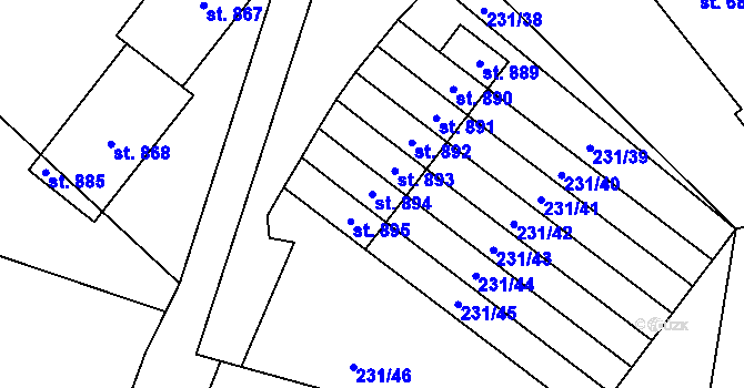 Parcela st. 894 v KÚ Raškovice, Katastrální mapa