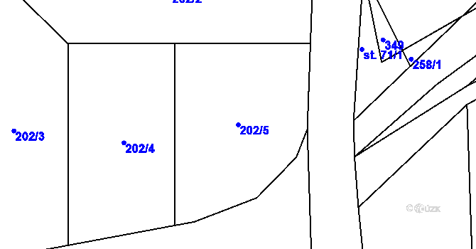 Parcela st. 202/5 v KÚ Rašovice u Týniště nad Orlicí, Katastrální mapa