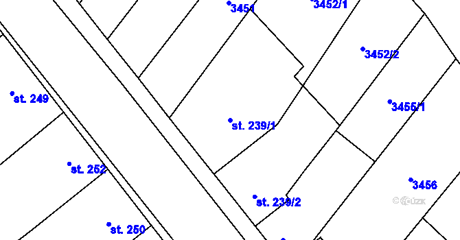 Parcela st. 239/1 v KÚ Rašovice u Bučovic, Katastrální mapa