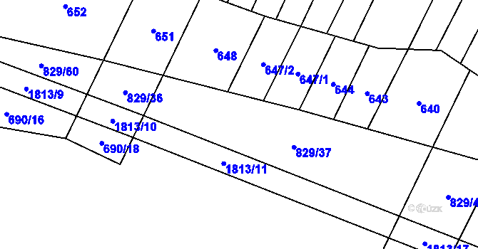 Parcela st. 829/38 v KÚ Rataje u Vlašimi, Katastrální mapa