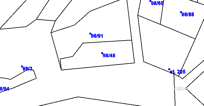 Parcela st. 98/48 v KÚ Rataje nad Sázavou, Katastrální mapa