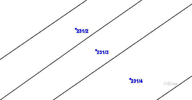 Parcela st. 231/3 v KÚ Rataje nad Sázavou, Katastrální mapa