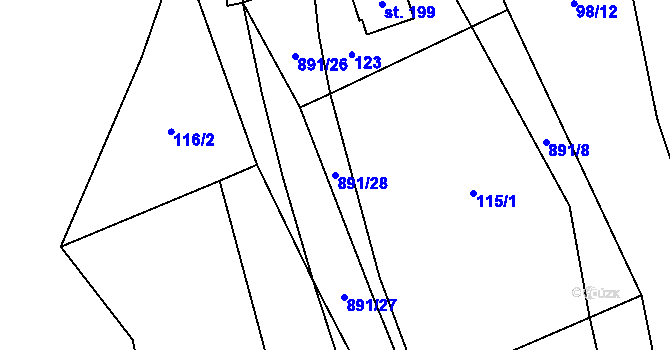 Parcela st. 891/28 v KÚ Rataje nad Sázavou, Katastrální mapa