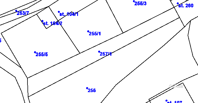 Parcela st. 257/1 v KÚ Pašinka, Katastrální mapa