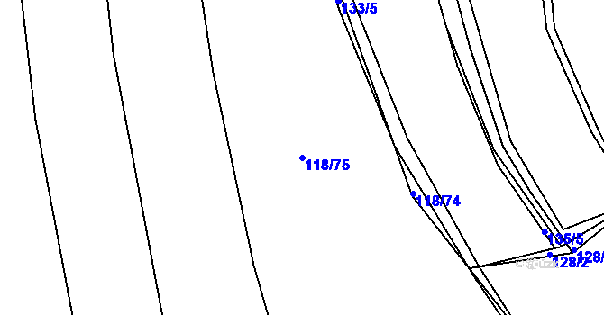 Parcela st. 118/75 v KÚ Pašinka, Katastrální mapa