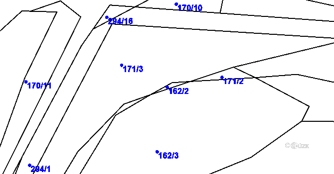 Parcela st. 162/2 v KÚ Pašinka, Katastrální mapa