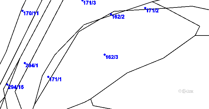 Parcela st. 162/3 v KÚ Pašinka, Katastrální mapa