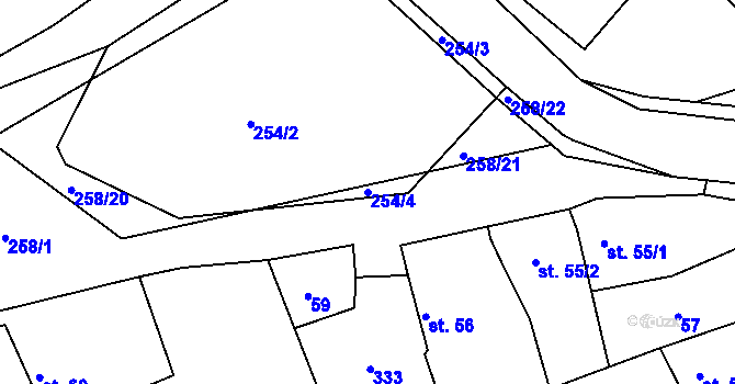 Parcela st. 254/4 v KÚ Pašinka, Katastrální mapa