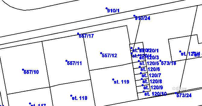 Parcela st. 557/12 v KÚ Ražice, Katastrální mapa