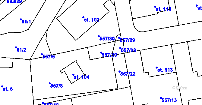 Parcela st. 557/19 v KÚ Ražice, Katastrální mapa