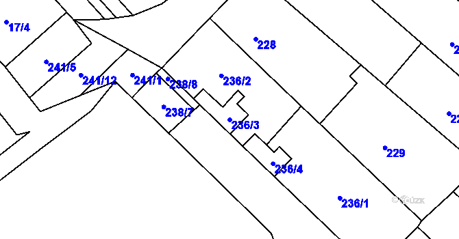 Parcela st. 236/3 v KÚ Rebešovice, Katastrální mapa