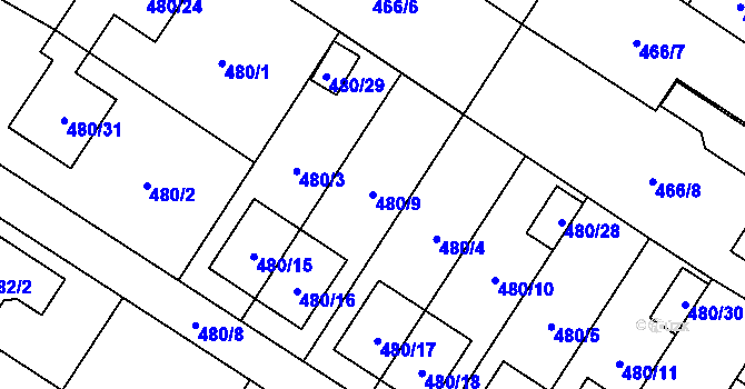Parcela st. 480/9 v KÚ Rebešovice, Katastrální mapa