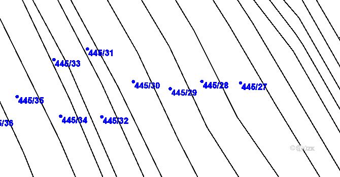 Parcela st. 445/29 v KÚ Rebešovice, Katastrální mapa