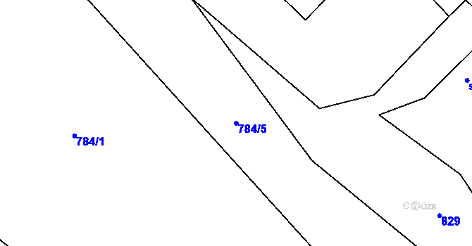 Parcela st. 784/5 v KÚ Rejčkov, Katastrální mapa
