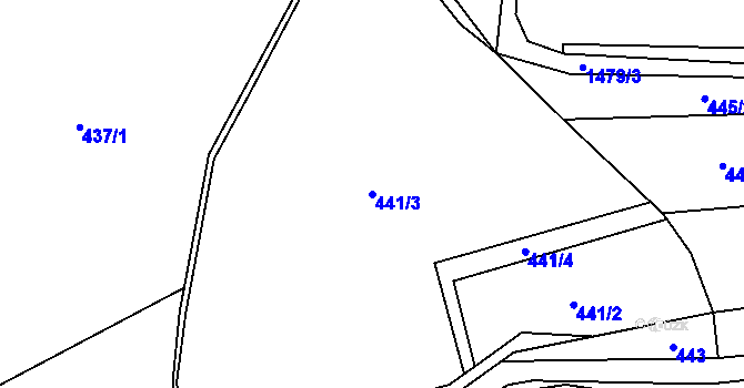 Parcela st. 441/3 v KÚ Rejchartice u Šumperka, Katastrální mapa