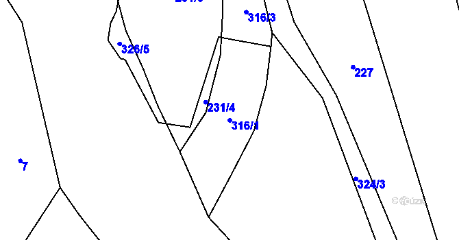 Parcela st. 316/1 v KÚ Rejkovice, Katastrální mapa