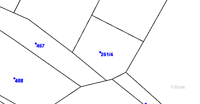 Parcela st. 251/4 v KÚ Rejštejn, Katastrální mapa