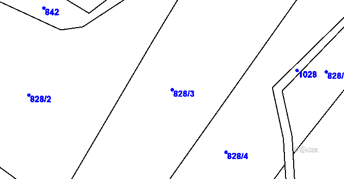 Parcela st. 828/3 v KÚ Rejštejn, Katastrální mapa