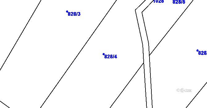 Parcela st. 828/4 v KÚ Rejštejn, Katastrální mapa