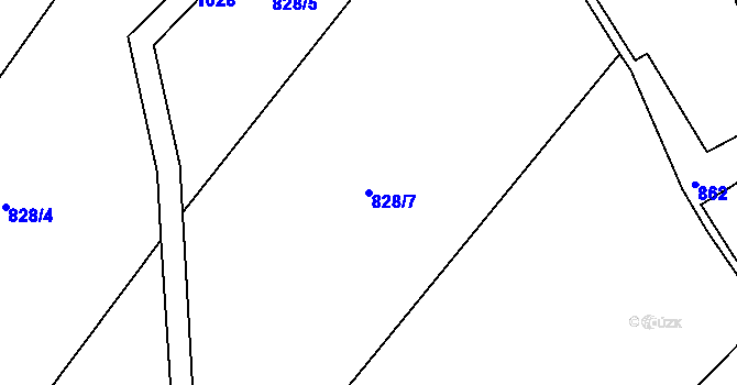 Parcela st. 828/7 v KÚ Rejštejn, Katastrální mapa