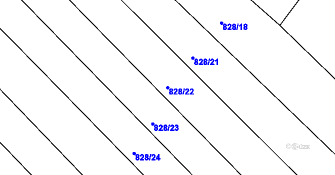 Parcela st. 828/22 v KÚ Rejštejn, Katastrální mapa