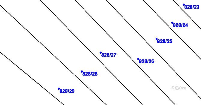 Parcela st. 828/27 v KÚ Rejštejn, Katastrální mapa