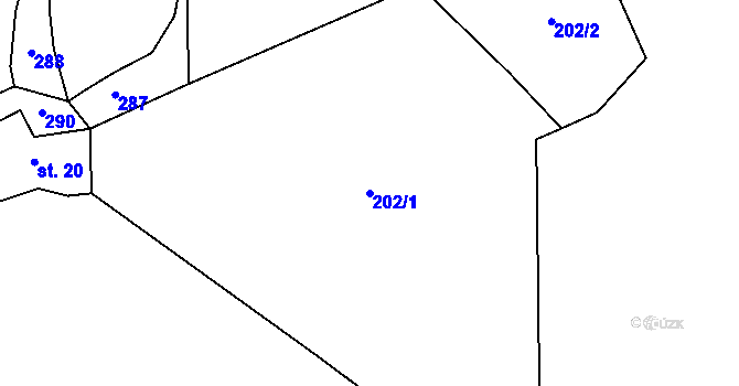 Parcela st. 202/1 v KÚ Zhůří u Rejštejna, Katastrální mapa