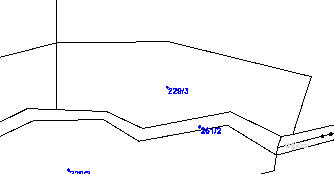 Parcela st. 229/3 v KÚ Zhůří u Rejštejna, Katastrální mapa