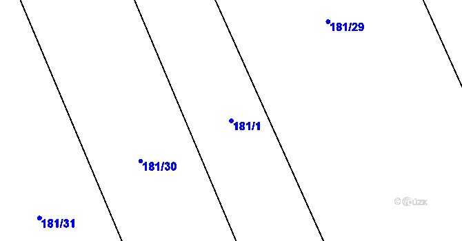 Parcela st. 181/1 v KÚ Dětřichov, Katastrální mapa