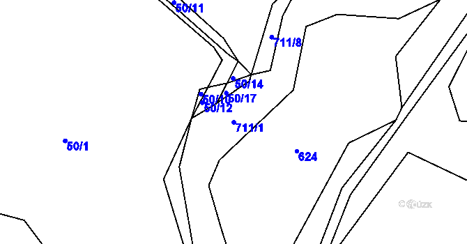 Parcela st. 711/1 v KÚ Rodvínov, Katastrální mapa
