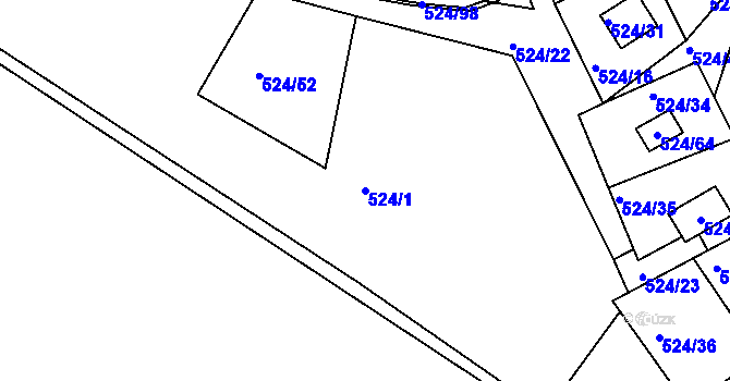 Parcela st. 524/1 v KÚ Rokle, Katastrální mapa