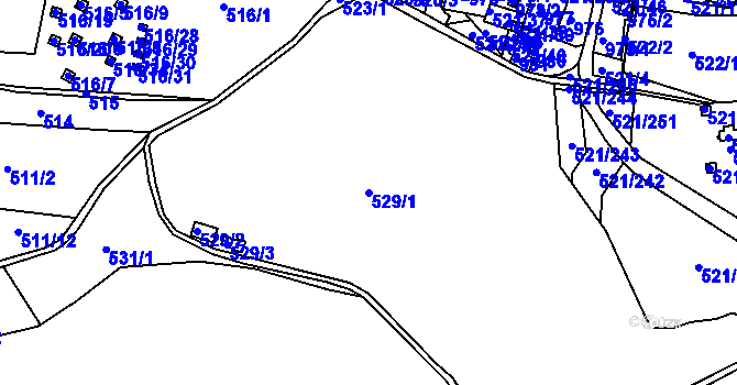 Parcela st. 529/1 v KÚ Rokle, Katastrální mapa