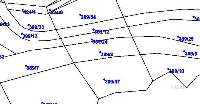 Parcela st. 389/8 v KÚ Borek u Rokycan, Katastrální mapa