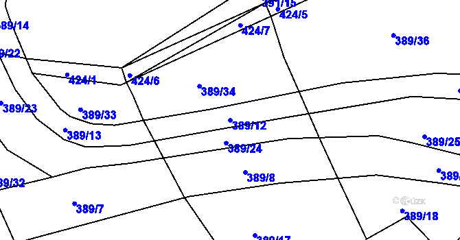 Parcela st. 389/12 v KÚ Borek u Rokycan, Katastrální mapa