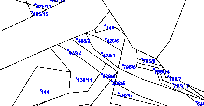 Parcela st. 428/1 v KÚ Borek u Rokycan, Katastrální mapa