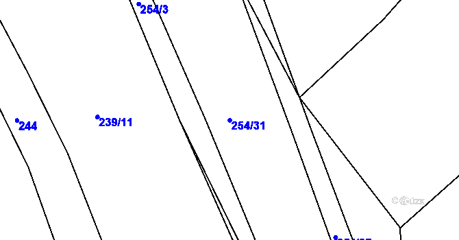Parcela st. 254/31 v KÚ Borek u Rokycan, Katastrální mapa