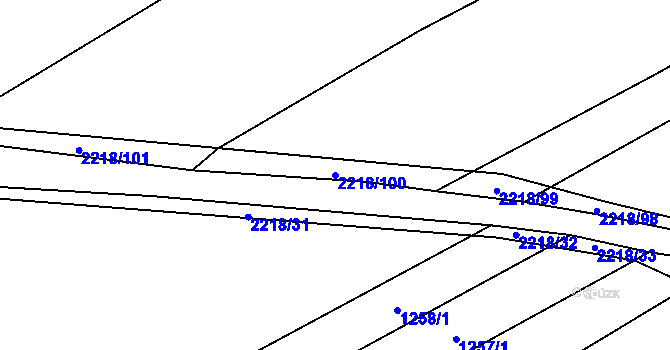 Parcela st. 2218/100 v KÚ Rokytnice u Slavičína, Katastrální mapa