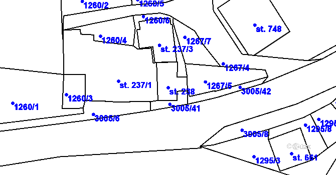 Parcela st. 238 v KÚ Dolní Rokytnice, Katastrální mapa