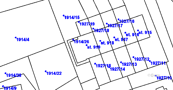 Parcela st. 919 v KÚ Dolní Rokytnice, Katastrální mapa