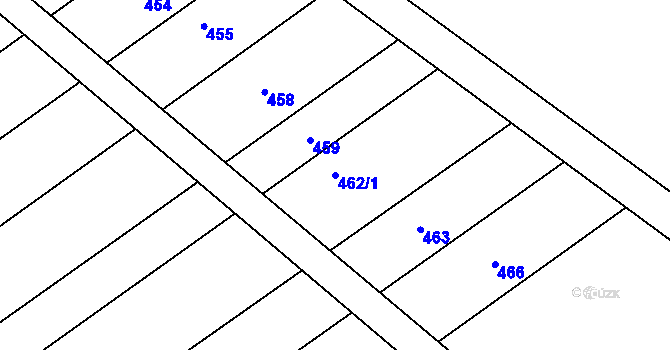 Parcela st. 462/1 v KÚ Rokytnice nad Rokytnou, Katastrální mapa